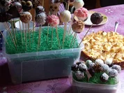 Schoko Cake Pops "Light-Variante" - Rezept