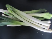 Wrap`s mit Rinderfiletstreifen und Porreegemüse à la Biggi - Rezept - Bild Nr. 9