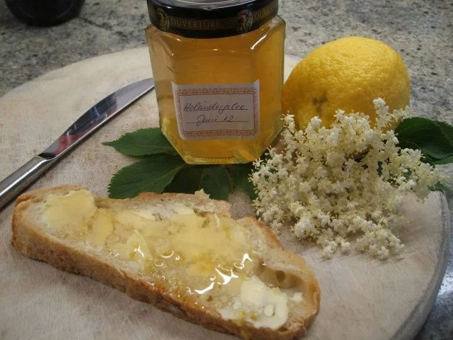 Vorrat: Holunderblüten-Gelee aus Holunderblütensirup - Rezept