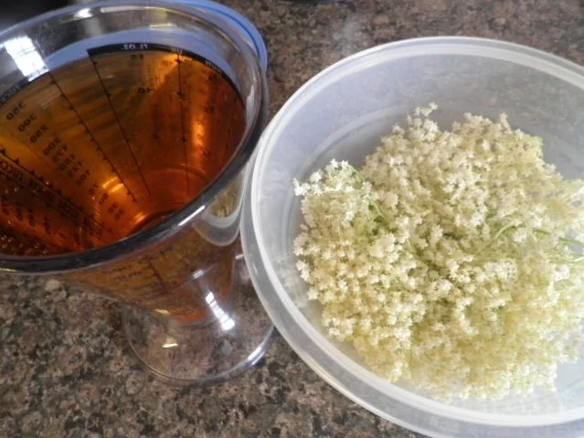 Holunderblüten - Gelee - Rezept - Bild Nr. 5