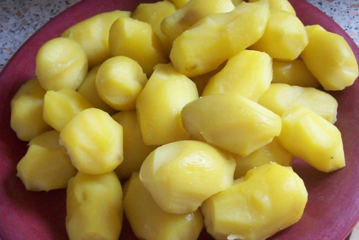 Kartoffel-Spinat-Gratin mit Gorgonzola und Tomaten - Rezept - Bild Nr. 3