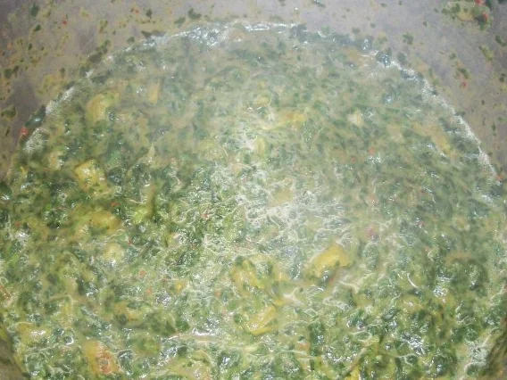 Kartoffel-Spinat-Gratin mit Gorgonzola und Tomaten - Rezept - Bild Nr. 5