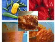 Habanero Dip - Rezept - Bild Nr. 18