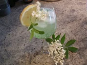 Getränke: Hugo, der Schreckliche - Rezept