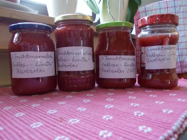 3 FRUCHTKONFITÜRE - Rezept - Bild Nr. 3