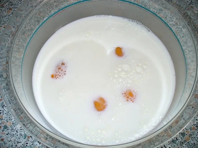 Rezept: Plinsen / Eierkuchen Bild Nr. 2 Plinsen / Eierkuchen - Rezept - Bild Nr. 2