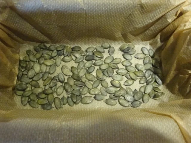 Kürbiskernbrot ohne Hefe mit Backferment - Rezept - Bild Nr. 13