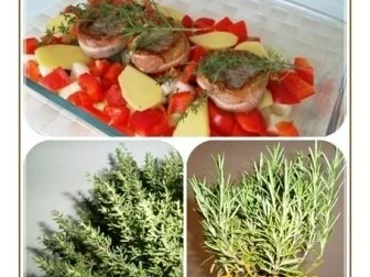 ❈ Schweinemedaillons im Speckmantel  auf einem Gemüsebett ❈ - Rezept - Bild Nr. 9