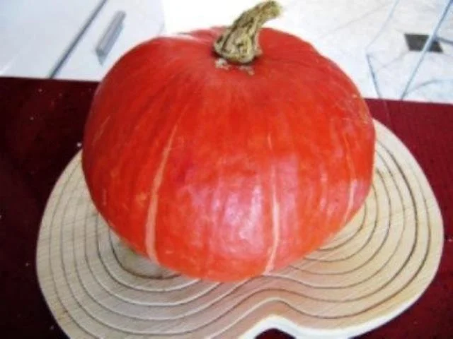 Kürbis * Hokaido * und eine Idee dazu - Rezept - Bild Nr. 9