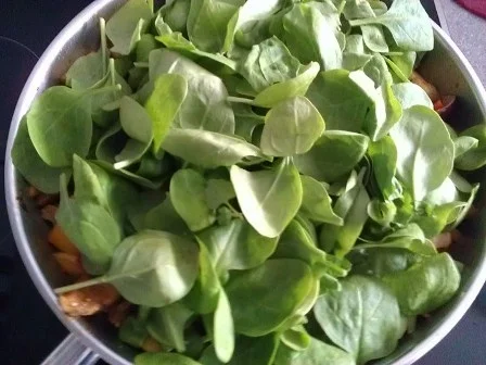 Gemüse mit frischem Bauchspeck (Spicy) à la Biggi - Rezept - Bild Nr. 17