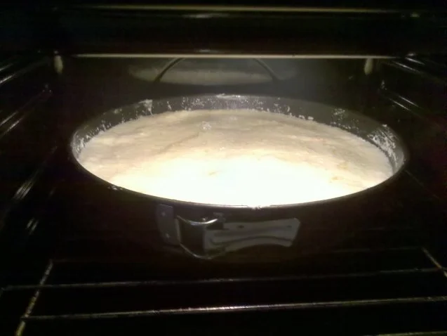 Kuchen: Kokos-Mandarinen-Kuchen - Rezept - Bild Nr. 4