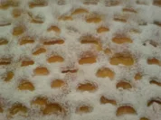 mandarinen-wölkchen-kuchen - Rezept