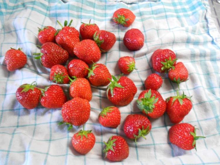 Klassischer schneller Erdbeerkuchen - einfach - 119 kcal/100g