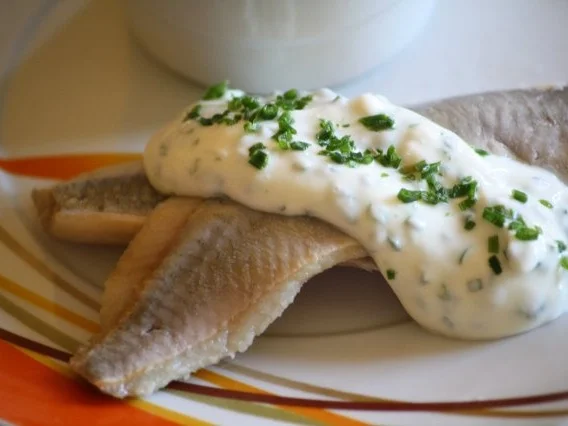 Rezept: Matjes mit Zitronen-Schmand und Kartoffelgratin Bild Nr. 2 Matjes mit Zitronen-Schmand und Kartoffelgratin - Rezept - Bild Nr. 2