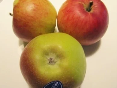 Apfelstrudel - Rezept - Bild Nr. 13