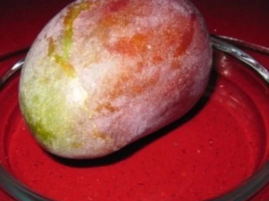 Rezept: Apfel Mangokompott Bild Nr. 15 Apfel Mangokompott - Rezept - Bild Nr. 15