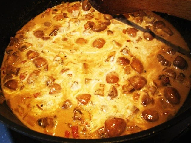 Braune Champignons in feinem Pfefferrahm ... - Rezept