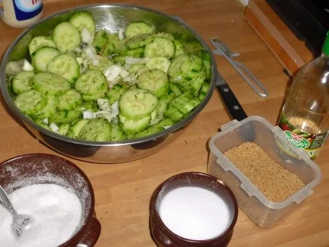 Schüttelgurken - Rezept - Bild Nr. 2