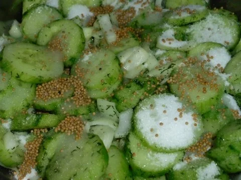 Schüttelgurken - Rezept - Bild Nr. 3