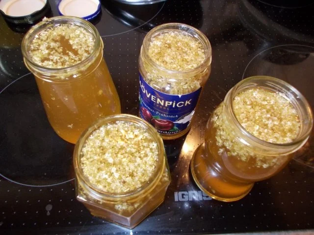 APFEL-HOLUNDER-GELLEE - Rezept - Bild Nr. 3