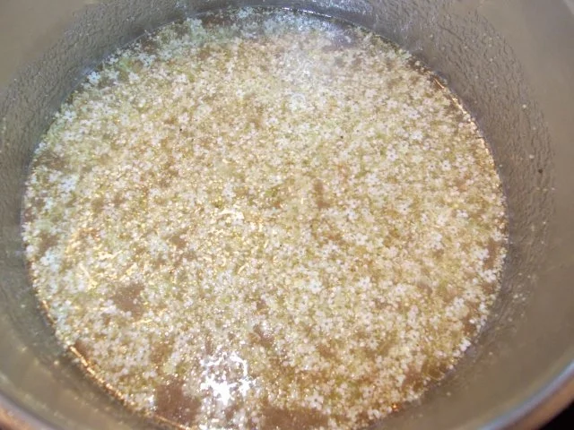 APFEL-HOLUNDER-GELLEE - Rezept - Bild Nr. 2