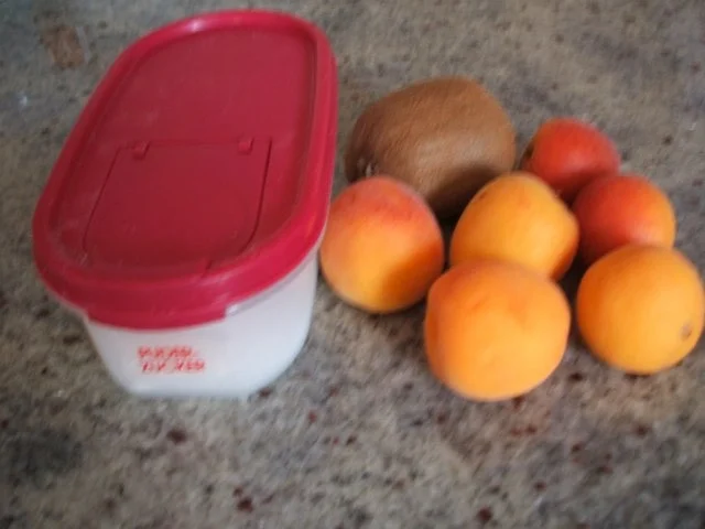 Vorrat: Frucht-Chips - Rezept - Bild Nr. 2