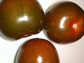 Rezept: Wildtomatensalat ein bisschen süss und Spicy Bild Nr. 12 Wildtomatensalat ein bisschen süss und Spicy - Rezept - Bild Nr. 12