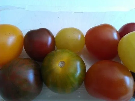 Rezept: Wildtomatensalat ein bisschen süss und Spicy Bild Nr. 13 Wildtomatensalat ein bisschen süss und Spicy - Rezept - Bild Nr. 13