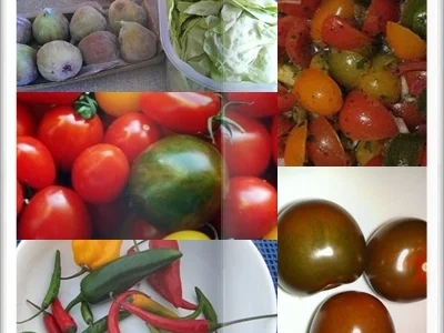 Rezept: Wildtomatensalat ein bisschen süss und Spicy Bild Nr. 16 Wildtomatensalat ein bisschen süss und Spicy - Rezept - Bild Nr. 16