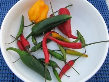 Rezept: Wildtomatensalat ein bisschen süss und Spicy Bild Nr. 17 Wildtomatensalat ein bisschen süss und Spicy - Rezept - Bild Nr. 17