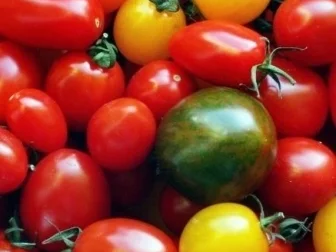 Rezept: Wildtomatensalat ein bisschen süss und Spicy Bild Nr. 21 Wildtomatensalat ein bisschen süss und Spicy - Rezept - Bild Nr. 21