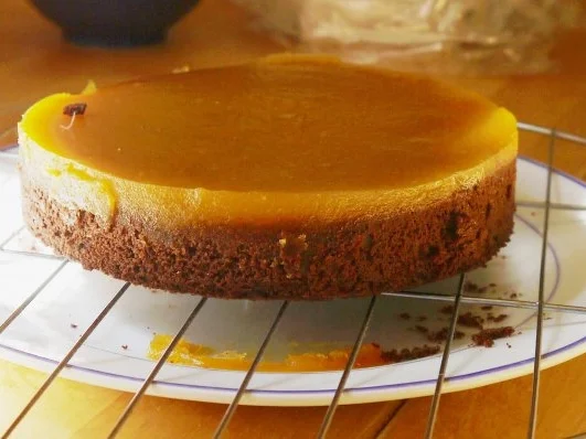 Schoko-Aprikosen-Torte - Rezept - Bild Nr. 7