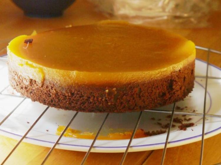 Schoko Aprikosen Torte - einfach - 299 kcal/100g