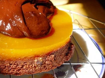 Schoko-Aprikosen-Torte - Rezept - Bild Nr. 8