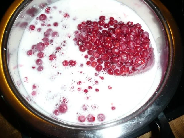 Johannisbeere - Mousse - Rezept