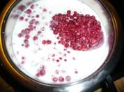 Johannisbeere - Mousse - Rezept