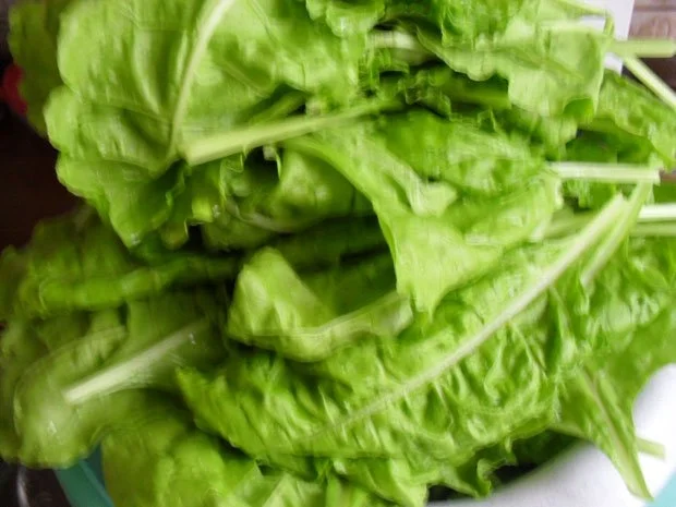 Rezept: Mangold-Gemüse nach einem Rezept von meiner Großmutter Mangold-Gemüse nach einem Rezept von meiner Großmutter - Rezept