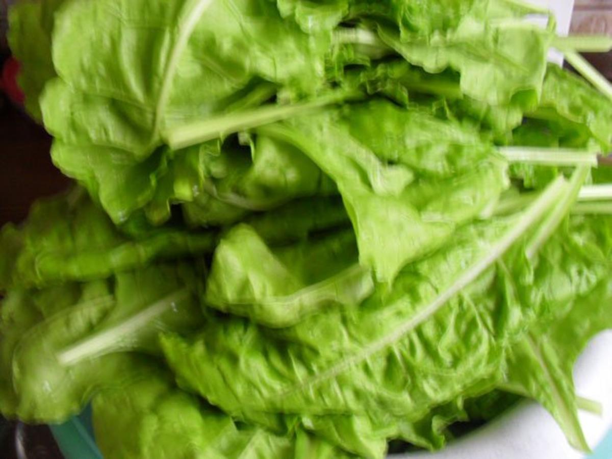 Mangold-Gemüse nach einem Rezept von meiner Großmutter - Rezept ...