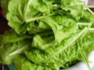 Mangold-Gemüse nach einem Rezept von meiner Großmutter - Rezept