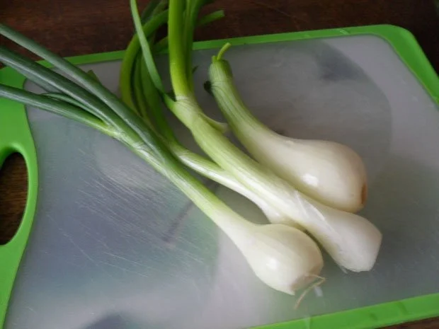 Rezept: Mangold-Gemüse nach einem Rezept von meiner Großmutter Bild Nr. 2 Mangold-Gemüse nach einem Rezept von meiner Großmutter - Rezept - Bild Nr. 2