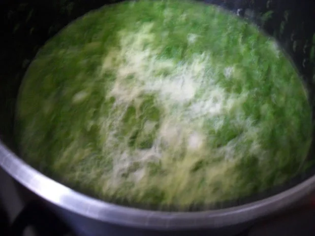 Rezept: Mangold-Gemüse nach einem Rezept von meiner Großmutter Bild Nr. 7 Mangold-Gemüse nach einem Rezept von meiner Großmutter - Rezept - Bild Nr. 7