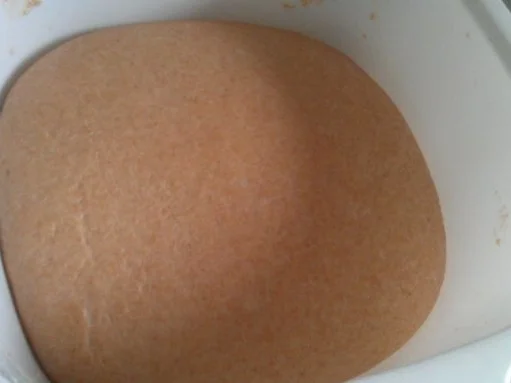 Dinkel-Vollkorn-Brötchen (Lecker!!) - Rezept - Bild Nr. 5