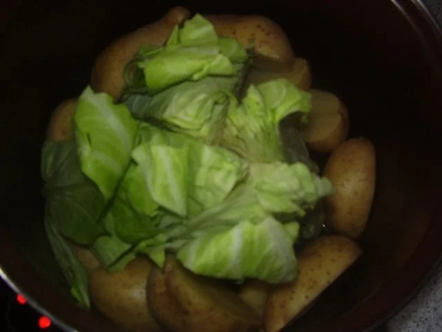 Rezept: Glückstädter Spitzkohl mit Rinderrouladen Bild Nr. 9 Glückstädter Spitzkohl mit Rinderrouladen - Rezept - Bild Nr. 9