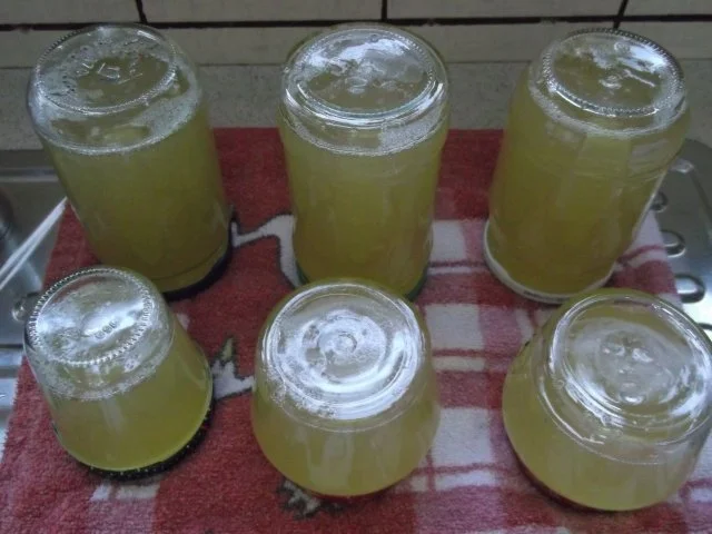 Rezept: Zitronengelee Bild Nr. 4 Zitronengelee - Rezept - Bild Nr. 4