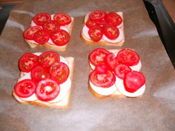 Tomate Mozzarella Toast - einfach - 49 kcal/100g Tomate Mozzarella Toast - einfach - 49 kcal/100g