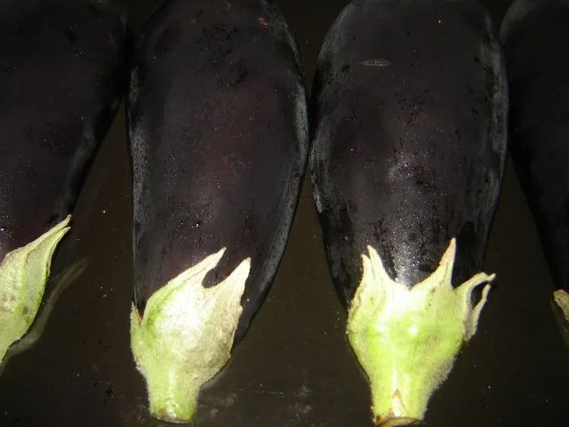 Rezept: Auberginen - Petersiliencreme Bild Nr. 2 Auberginen - Petersiliencreme - Rezept - Bild Nr. 2