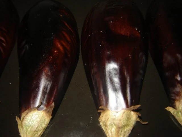 Rezept: Auberginen - Petersiliencreme Bild Nr. 3 Auberginen - Petersiliencreme - Rezept - Bild Nr. 3