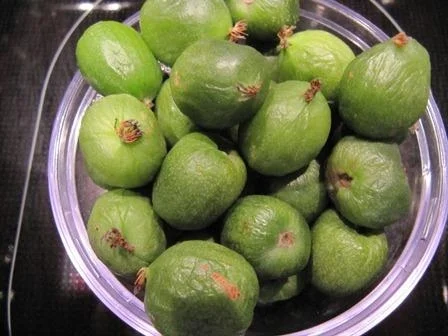 Mascarponecreme unter Mini Kiwi - Rezept - Bild Nr. 9