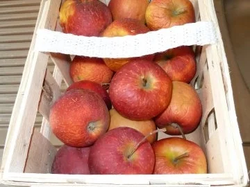 Apfelkompott - Rezept