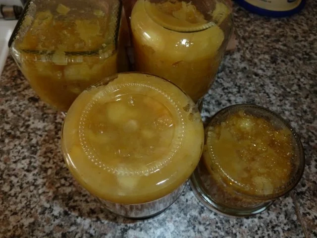 Apfelkompott - Rezept - Bild Nr. 5